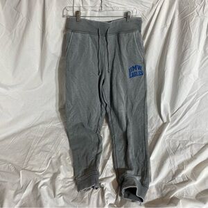 University of Mary Washington Gray Joggers with Blue Logo